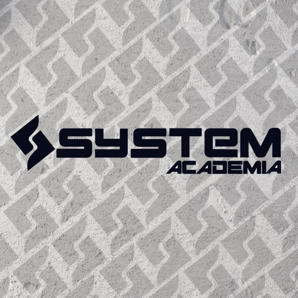 134 - ACADEMIA DE GINASTICA SYSTEM LTDA ME.jpg